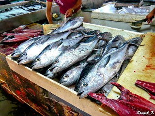 0999 Bandar Abbas fish market Bazar Mahi Foroshi Бендер Аббас Рыбный рынок