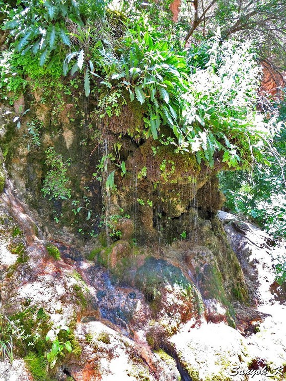 1265 Tang e Boragh waterfall Танг е Бораг водопад