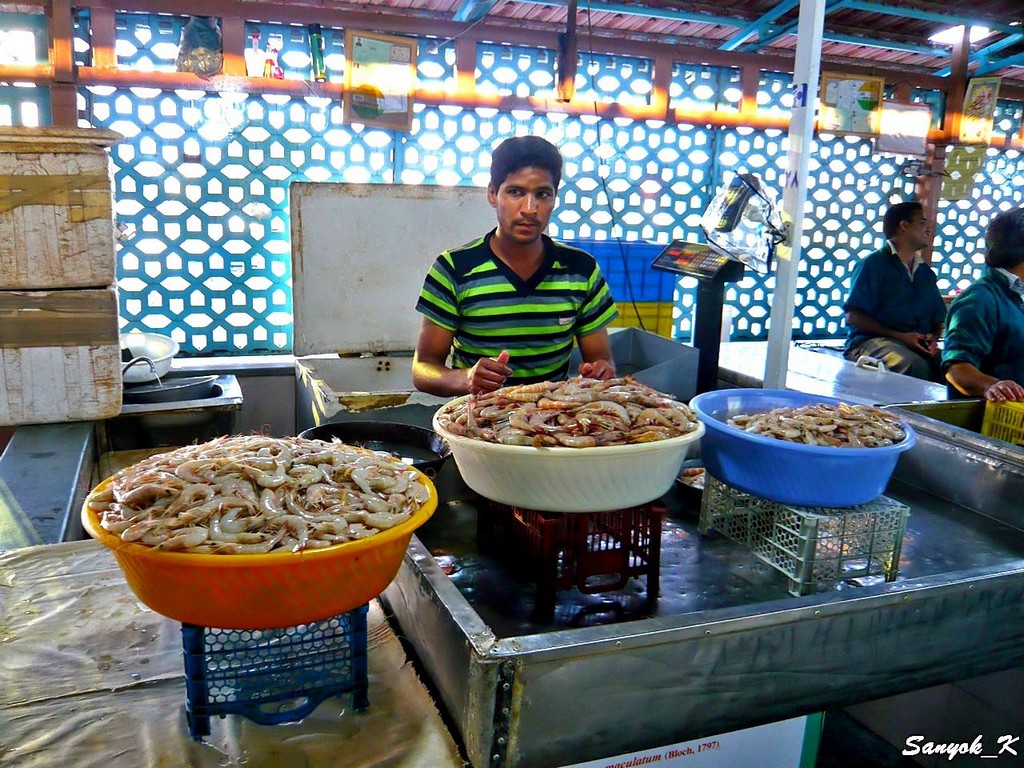 1001 Bandar Abbas fish market Bazar Mahi Foroshi Бендер Аббас Рыбный рынок