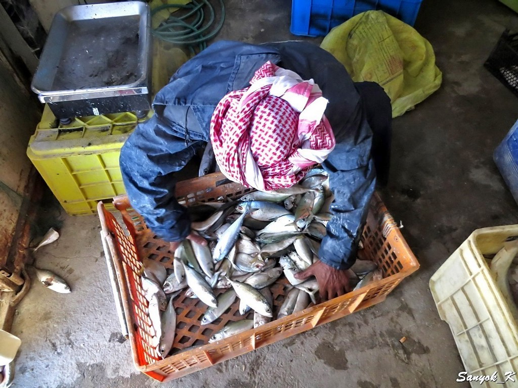 3213 Bandar Charak fishing Бендер Чарак рыбалка